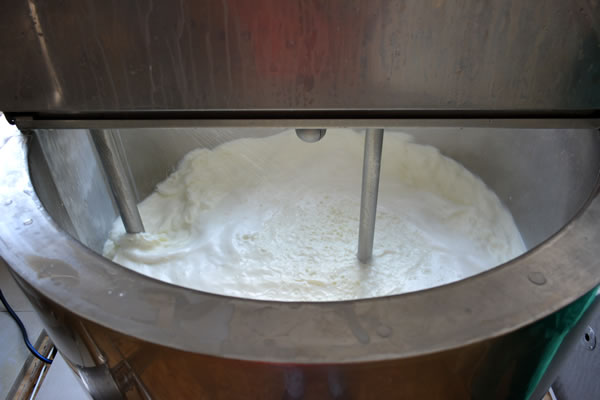 Mera Süt Ürünleri