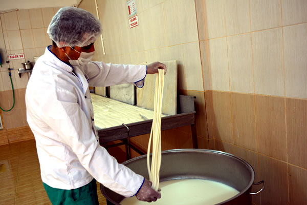 Mera Süt Ürünleri