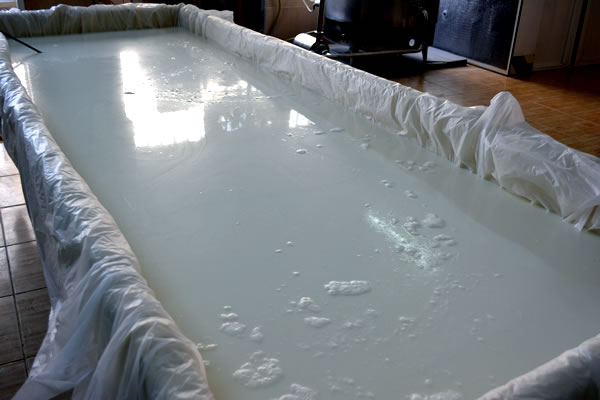 Mera Süt Ürünleri